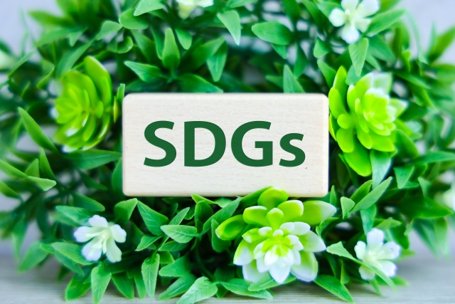 SDGsとゴミ問題